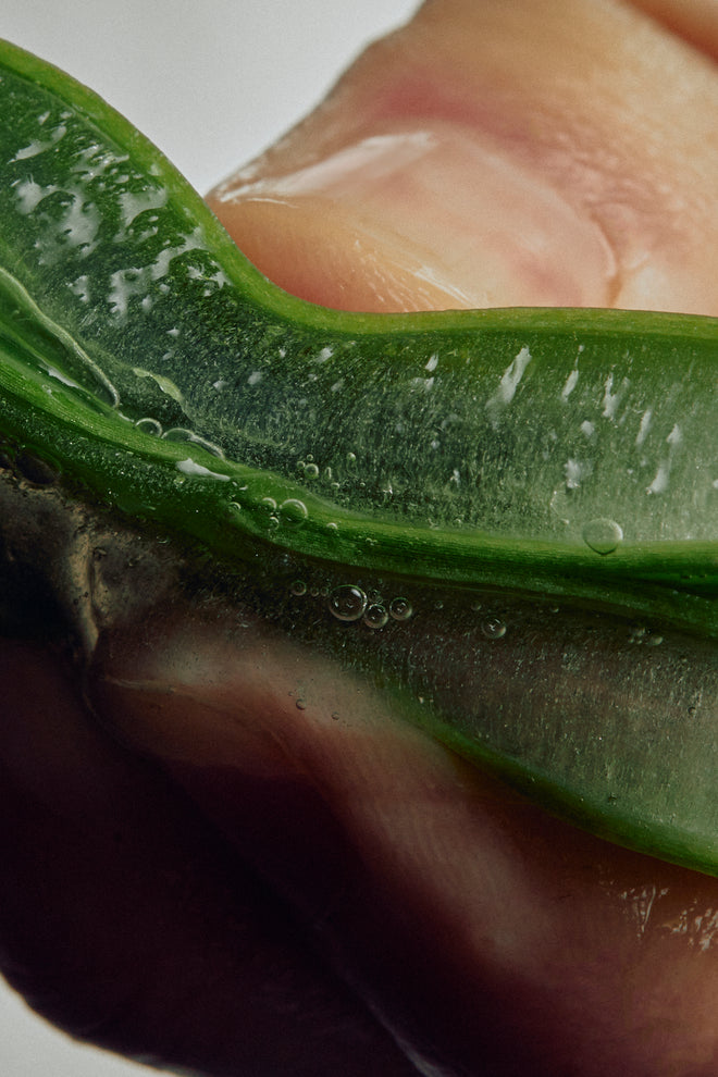 Aloe Leaf Juice